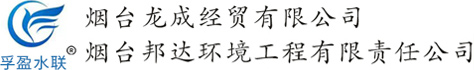 大型臭氧發(fā)生器廠(chǎng)家